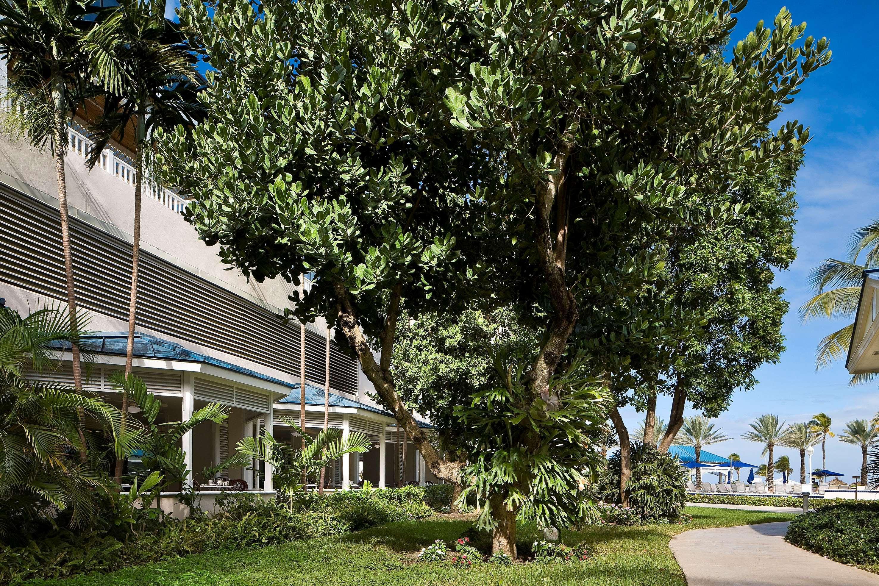Melia Nassau Beach Экстерьер фото